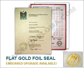 International College Diploma and Transcripts, Actual Design Match - Intermediate Package Int ADM+T - Int